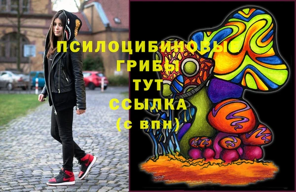 a pvp Аркадак