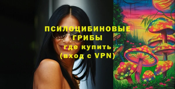 a pvp Аркадак